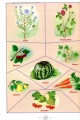 Фото Я досліджую світ. 1-4 класи. Енциклопедія для чомусиків 10