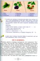 Фото Я досліджую світ. 1-4 класи. Енциклопедія для чомусиків 11
