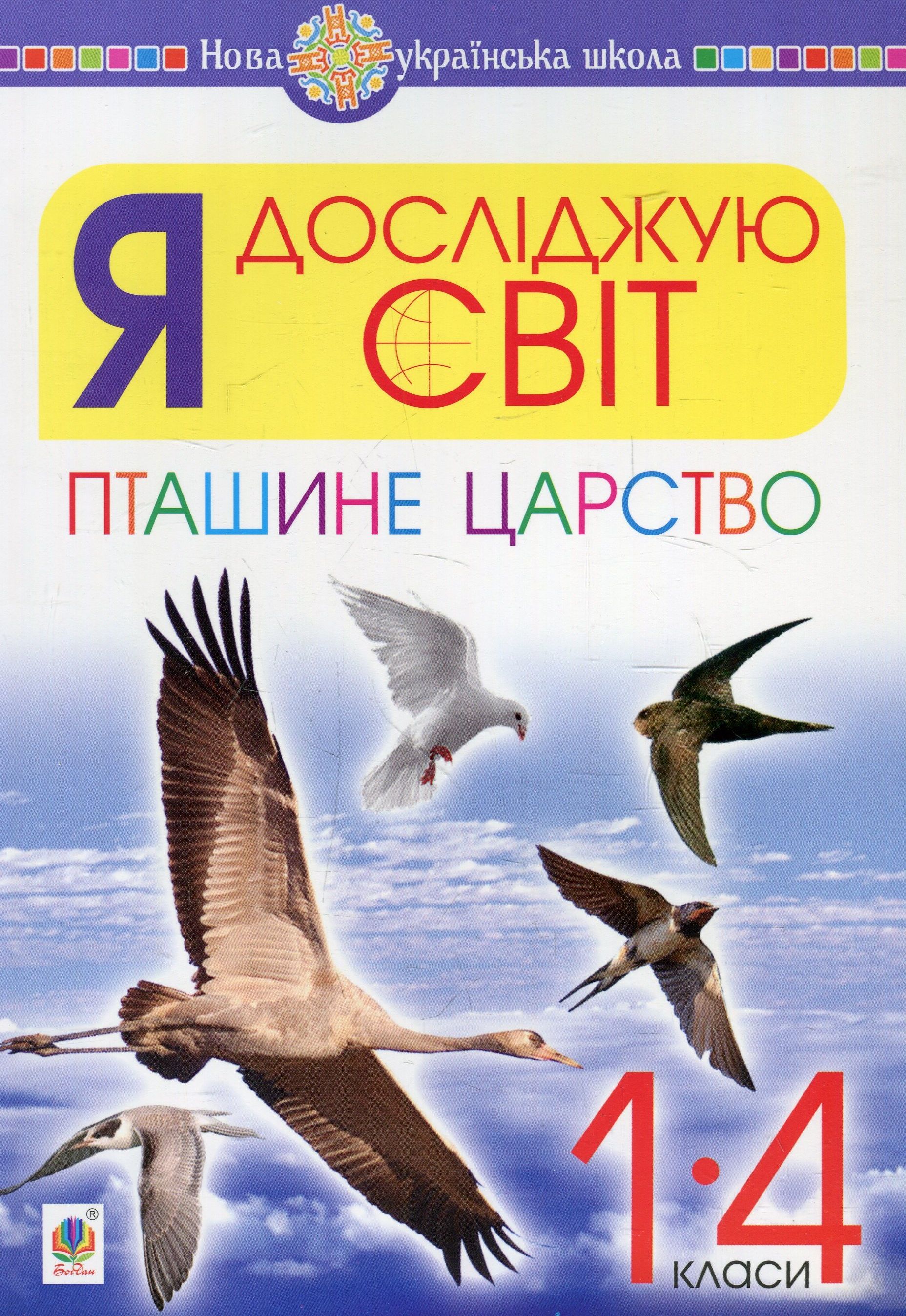 Main Product