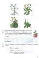 Фото Я досліджую світ. 2 клас. Робочий зошит. Частина 2 8