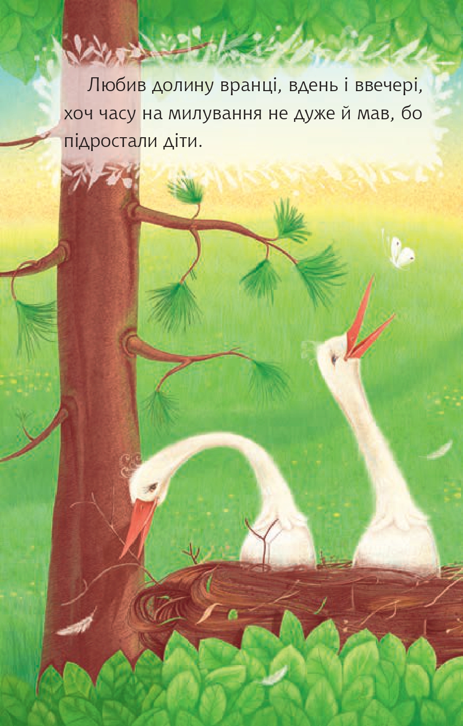 Hidden Product Image 7