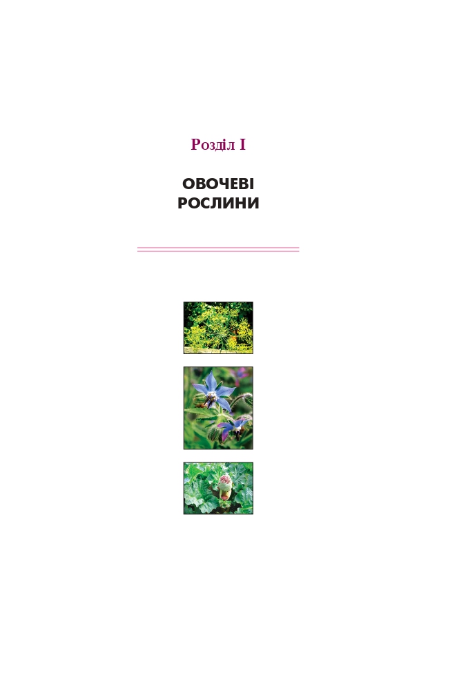 Hidden Product Image 9