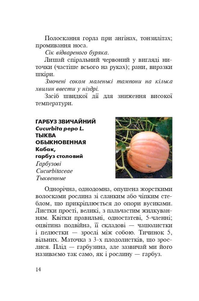 Hidden Product Image 12