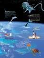 Фото Атлас Землі 9