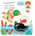 Фото Качки 2