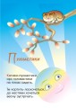 Фото Каштанові ліхтарі. Вірші 3