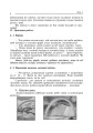 Фото Торкнись краси. Образотворче мистецтво. 1-4 класи. Конспекти уроків 7