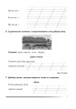 Фото Українська мова та читання. 2 клас. Вчимося складати вірші, загадки, казки. Зошит з розвитку зв’язного мовлення 4