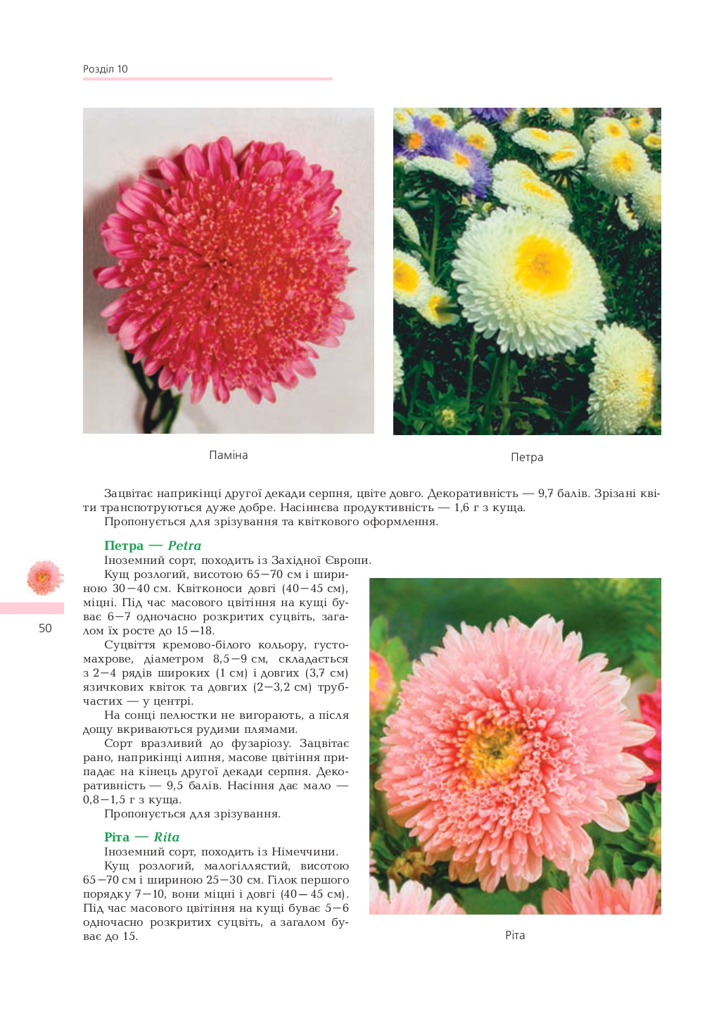 Hidden Product Image 6