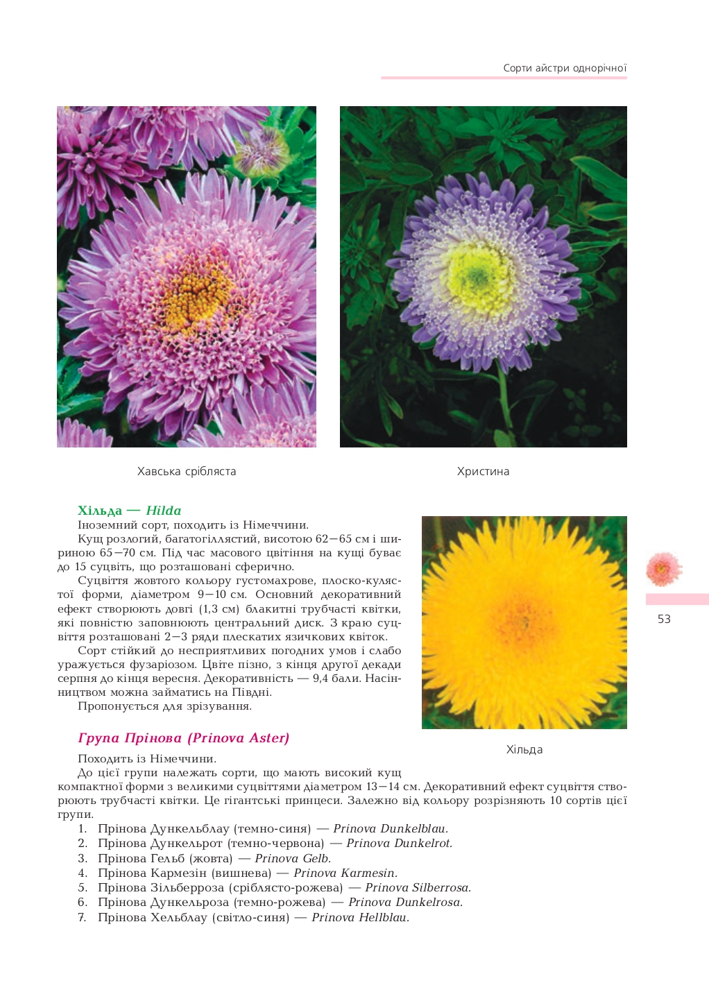 Hidden Product Image 8