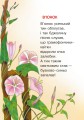 Фото Барвисте свято 2