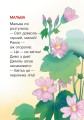 Фото Барвисте свято 3