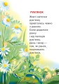 Фото Барвисте свято 4