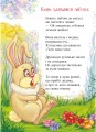 Фото Бджілка - трудівниця 5