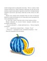 Фото Пригоди Хоробрика 7