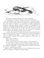 Фото Ойкумена. Казки 4