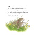Фото Рятівний загін. Історії парку Персі 7