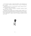 Фото Подорожі Сіндбада-мореплавця 8