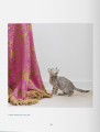 Фото Walter Chandoha. Cats. Photographs 1942-2018 6