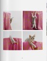 Фото Walter Chandoha. Cats. Photographs 1942-2018 8