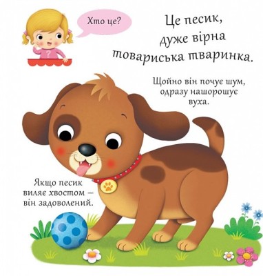Собаки