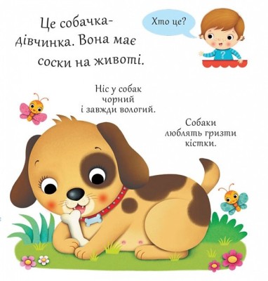 Собаки