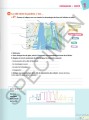 Фото Imagine 4. B1. Cahier d'activités + didierfle.app 4