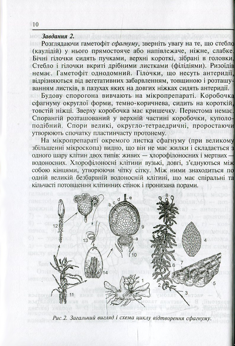 Hidden Product Image 12