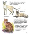Фото Коти. Енциклопедія дошкільника 3