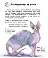 Фото Коти. Енциклопедія дошкільника 2