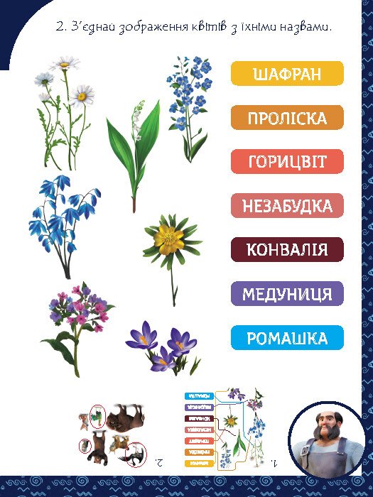 Hidden Product Image 7