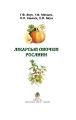 Фото Лікарські овочеві рослини 3