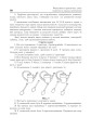 Фото Формування практичних умінь і навичок на уроках математики. 1-4 класи 4