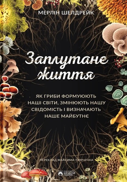 Фото Заплутане життя