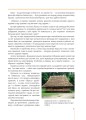 Фото Я є Україна. Світоглядний всесвіт українців 7