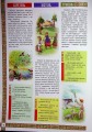 Фото Веселих свят! 6