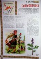 Фото Веселих свят! 12