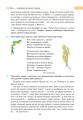 Фото Українська мова. Підручник для 7 класу загальноосвітніх навчальних закладів 8