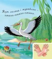 Фото У лісі біля річки 5