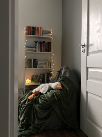 Книжкомрії