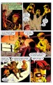 Фото Robin #20 (1993) 5