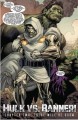 Фото Incredible Hulk #5 (2011 4th Series) 4