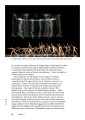 Фото Digital Art 4-th edition 6