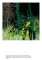 Фото Digital Art 4-th edition 16