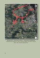 Фото Гливкий туман Бучі 11
