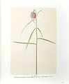 Фото Flowers! In the Art of the 20th and 21st Centuries (Bilingual edition) 4