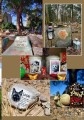 Фото Faithful unto Death. Pet cemeteries, animal graves and eternal devotion 17