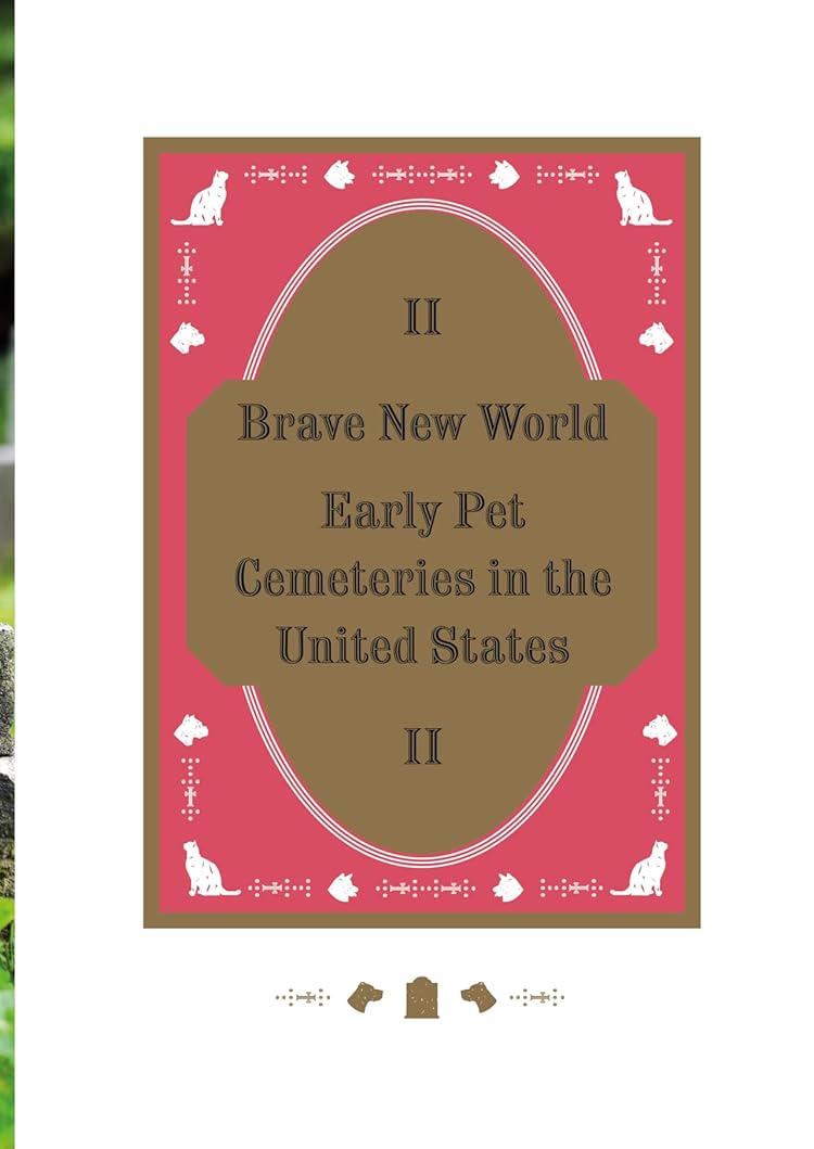 Hidden Product Image 19