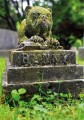 Фото Faithful unto Death. Pet cemeteries, animal graves and eternal devotion 18