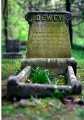 Фото Faithful unto Death. Pet cemeteries, animal graves and eternal devotion 21